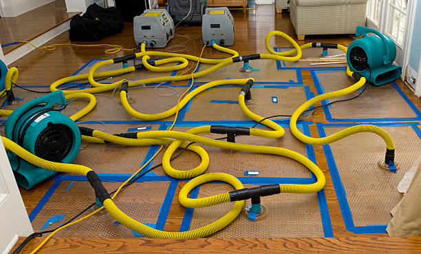 Professional Structural Drying And Dehumidification technician working in Moscow, PA